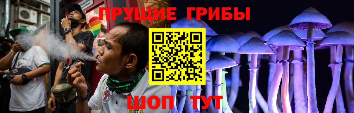 Галлюциногенные грибы Psilocybe Подольск
